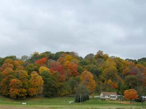 20041016_001.JPG - 15,014BYTES