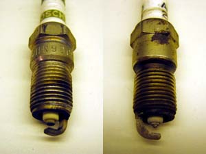 20041023_001.JPG - 15,542BYTES