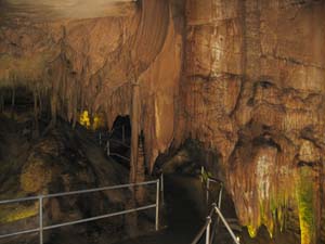 20041120_005.JPG - 18,472BYTES