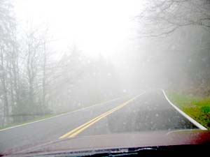 20041121_004.JPG - 12,294BYTES