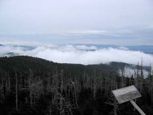 20041121_005.JPG - 13,459BYTES