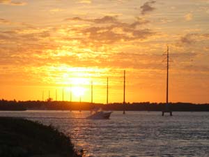 20041124_004.JPG - 16,629BYTES