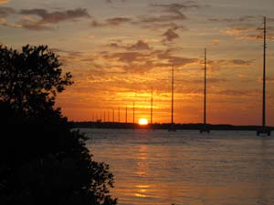 20041124_005.JPG - 16,120BYTES