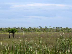 20041125_003.JPG - 17,936BYTES