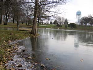 20041215_001.JPG - 21,249BYTES