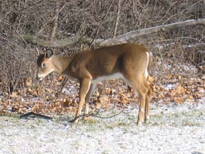 20041219_001.JPG - 28,144BYTES