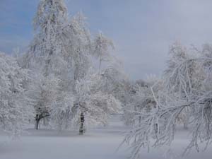 20041225_004.JPG - 14,072BYTES