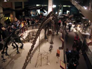 20041230_004.JPG - 23,375BYTES