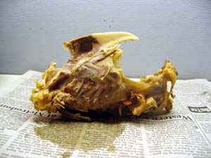 20050213_002.JPG - 20,030BYTES